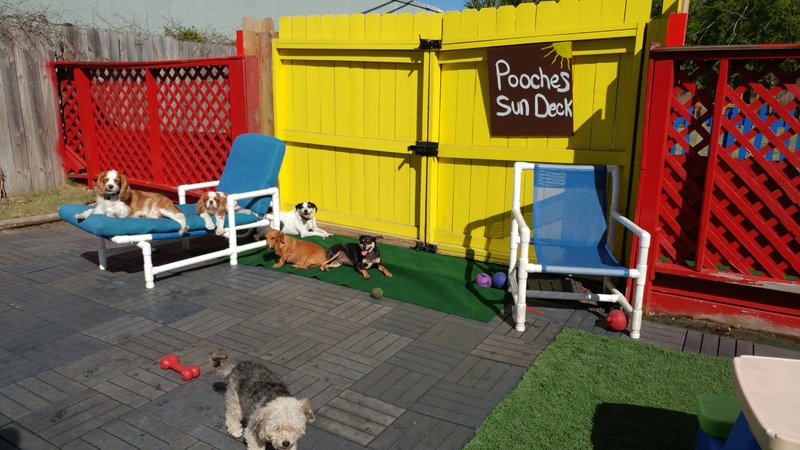 Pooches' Playhouse