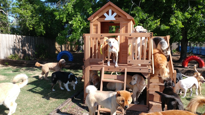 Pooches' Playhouse