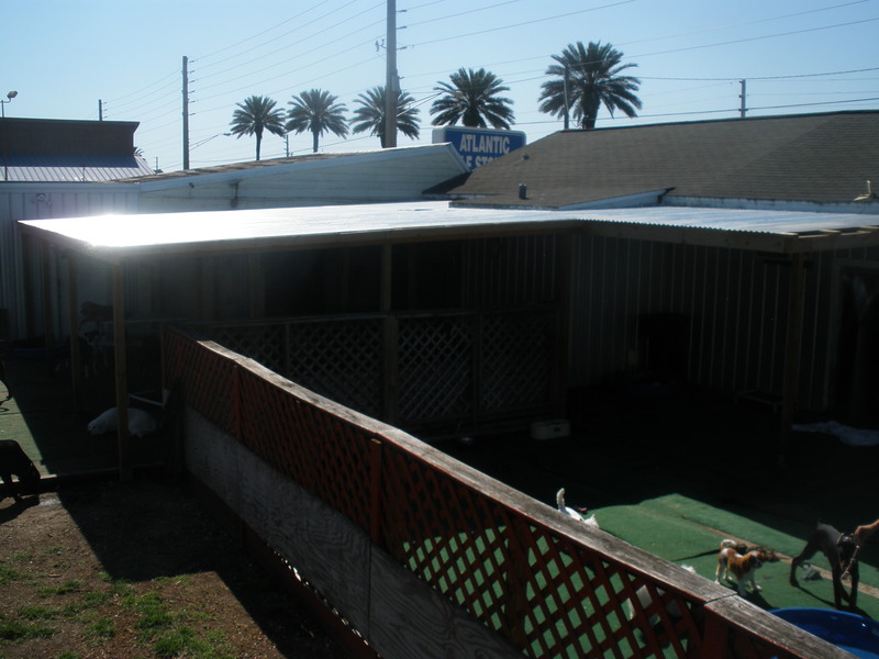 Pooches Playhouse