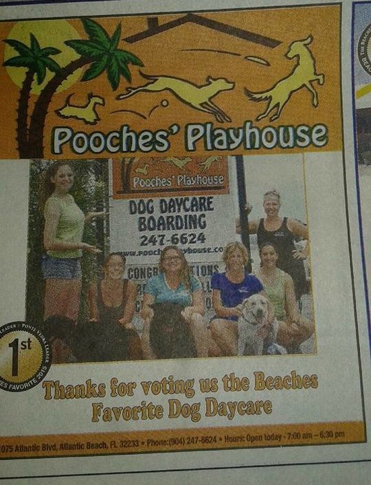 Pooches Playhouse