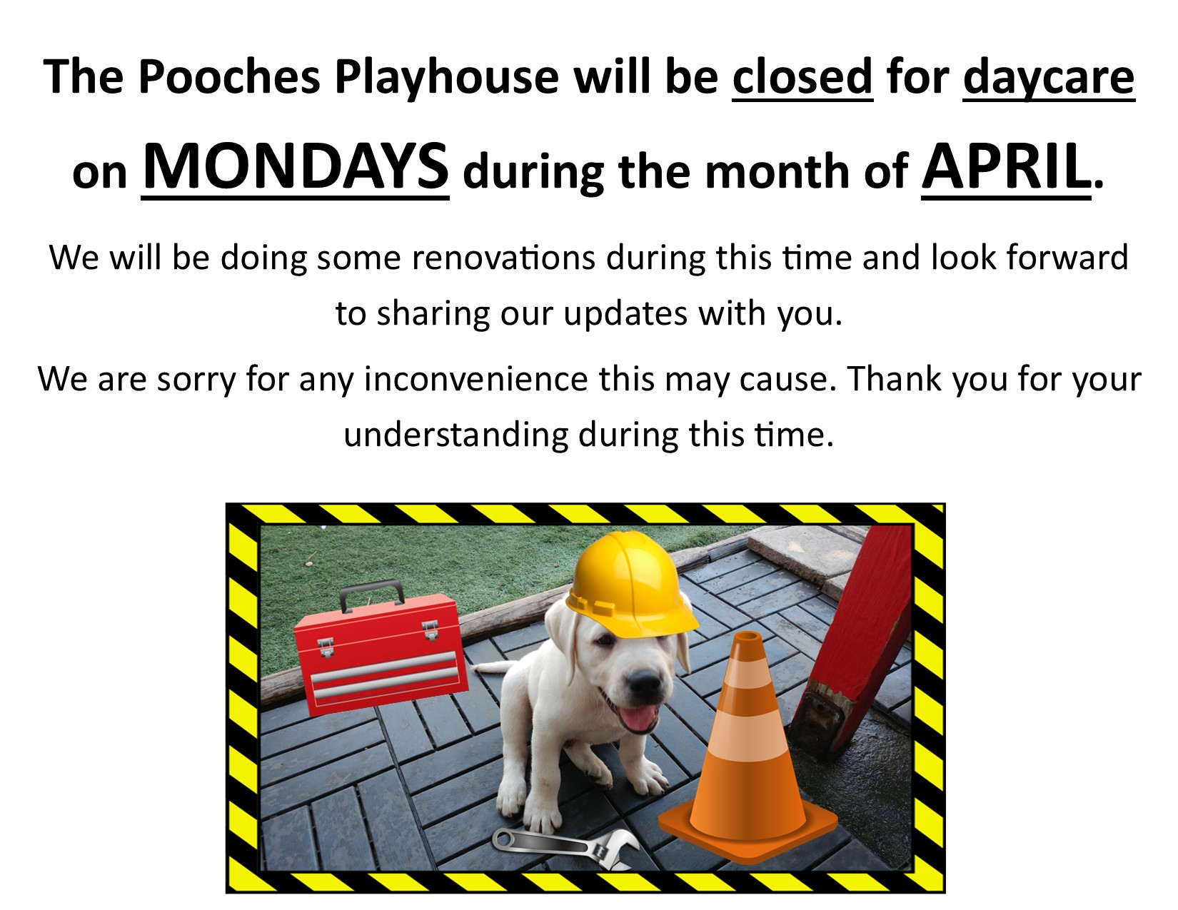 Pooches Playhouse Jacksonville Beach Dog Daycare